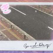 ヒメ日記 2026/02/08 12:17 投稿 上原さつき ミセス大阪日本橋店