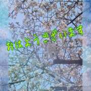 ヒメ日記 2026/04/13 10:33 投稿 上原さつき ミセス大阪日本橋店