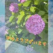 ヒメ日記 2026/06/26 07:43 投稿 上原さつき ミセス大阪日本橋店
