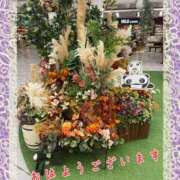 ヒメ日記 2026/09/09 09:38 投稿 上原さつき ひとづま百花