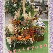 ヒメ日記 2026/09/28 10:43 投稿 上原さつき ひとづま百花