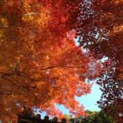 ヒメ日記 2025/11/07 17:51 投稿 モリタ 名古屋★出張マッサージ委員会