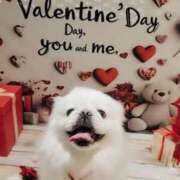 ヒメ日記 2025/02/15 05:21 投稿 愛原よし乃 ローテンブルク