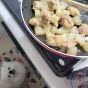 ヒメ日記 2025/11/12 23:46 投稿 愛原よし乃 ローテンブルク