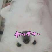 ヒメ日記 2025/12/02 23:45 投稿 愛原よし乃 ローテンブルク