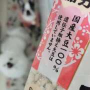 ヒメ日記 2026/02/04 00:04 投稿 愛原よし乃 ローテンブルク