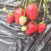 愛原よし乃 おはよ(*´ー｀*) ローテンブルク