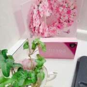 ヒメ日記 2026/03/16 00:53 投稿 愛原よし乃 ローテンブルク