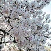 ヒメ日記 2026/03/31 00:00 投稿 愛原よし乃 ローテンブルク