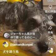 ヒメ日記 2025/09/21 15:59 投稿 みほ 完熟ばなな札幌・すすきの