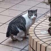 ヒメ日記 2025/12/30 18:19 投稿 みほ 完熟ばなな札幌・すすきの