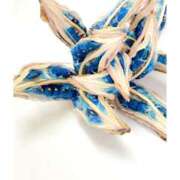 ヒメ日記 2025/06/12 16:01 投稿 萌奈-もな- 淫らなオンナ性体師･･･そして曖昧なひと時(本格派オイル性感マッサージ)