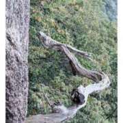 ヒメ日記 2025/10/25 13:18 投稿 萌奈-もな- 淫らなオンナ性体師･･･そして曖昧なひと時(本格派オイル性感マッサージ)