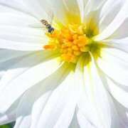 ヒメ日記 2026/01/15 19:32 投稿 萌奈-もな- 淫らなオンナ性体師･･･そして曖昧なひと時(本格派オイル性感マッサージ)