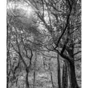 ヒメ日記 2026/01/20 17:01 投稿 萌奈-もな- 淫らなオンナ性体師･･･そして曖昧なひと時(本格派オイル性感マッサージ)