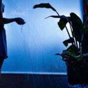 ヒメ日記 2026/01/24 06:00 投稿 萌奈-もな- 淫らなオンナ性体師･･･そして曖昧なひと時(本格派オイル性感マッサージ)