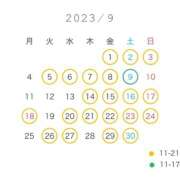 ヒメ日記 2023/08/17 21:08 投稿 まり EXE（エグゼ）