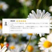 ヒメ日記 2025/06/24 09:59 投稿 まり EXE（エグゼ）