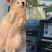 ヒメ日記 2025/11/18 00:11 投稿 まり EXE（エグゼ）