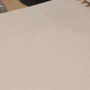 ヒメ日記 2025/12/01 19:00 投稿 まり EXE（エグゼ）