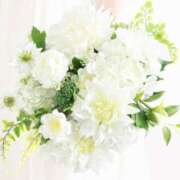 ヒメ日記 2025/05/15 10:27 投稿 大石恭子 プレジデントハウス