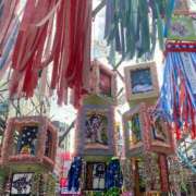 ヒメ日記 2025/07/07 06:30 投稿 大石恭子 プレジデントハウス