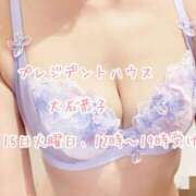 ヒメ日記 2025/07/15 00:05 投稿 大石恭子 プレジデントハウス