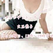 ヒメ日記 2025/07/23 00:01 投稿 大石恭子 プレジデントハウス