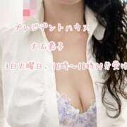 ヒメ日記 2026/02/02 23:25 投稿 大石恭子 プレジデントハウス