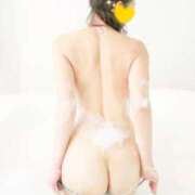 ヒメ日記 2026/03/31 22:58 投稿 大石恭子 プレジデントハウス