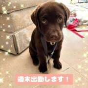 ヒメ日記 2025/03/28 13:53 投稿 辻倉れいこ 西船橋快楽Ｍ性感倶楽部～前立腺マッサージ専門～