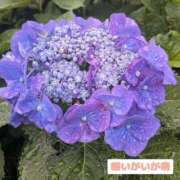 ヒメ日記 2025/06/05 17:04 投稿 辻倉れいこ 西船橋快楽Ｍ性感倶楽部～前立腺マッサージ専門～