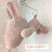 ヒメ日記 2025/11/15 13:53 投稿 辻倉れいこ 西船橋快楽Ｍ性感倶楽部～前立腺マッサージ専門～