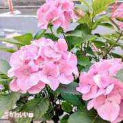 ヒメ日記 2025/06/13 15:23 投稿 辻倉れいこ 錦糸町快楽M性感倶楽部～前立腺マッサージ専門～