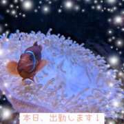 ヒメ日記 2025/08/30 07:53 投稿 辻倉れいこ 錦糸町快楽M性感倶楽部～前立腺マッサージ専門～