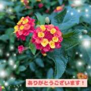 ヒメ日記 2025/11/05 20:13 投稿 辻倉れいこ 錦糸町快楽M性感倶楽部～前立腺マッサージ専門～