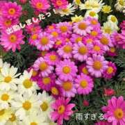 ヒメ日記 2026/04/04 13:13 投稿 辻倉れいこ 錦糸町快楽M性感倶楽部～前立腺マッサージ専門～