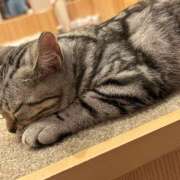 ヒメ日記 2025/05/31 16:32 投稿 さや アロマエステ アイウィッシュ