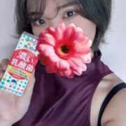 ヒメ日記 2026/04/11 22:05 投稿 島村嬉唄 多恋人倶楽部