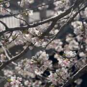 ヒメ日記 2025/04/09 09:40 投稿 あゆり もしも素敵な妻が指輪をはずしたら・・・