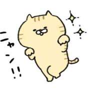 ヒメ日記 2024/12/19 20:19 投稿 あやな Mrs Sirena（ミセスシレナ）