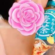 ヒメ日記 2025/01/15 07:24 投稿 ゆり 桃李（とうり）