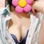 ヒメ日記 2025/02/08 09:44 投稿 ゆり 桃李（とうり）