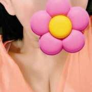 ヒメ日記 2025/02/13 08:05 投稿 ゆり 桃李（とうり）