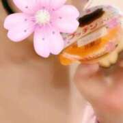 ヒメ日記 2025/03/28 07:45 投稿 ゆり 桃李（とうり）