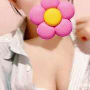 ヒメ日記 2025/04/14 13:24 投稿 ゆり 桃李（とうり）