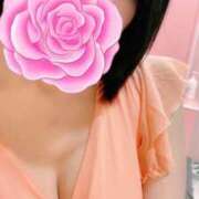 ヒメ日記 2025/07/09 06:21 投稿 ゆり 桃李（とうり）