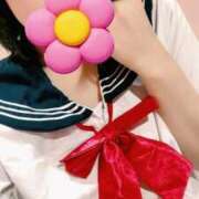 ヒメ日記 2025/10/31 06:18 投稿 ゆり 桃李（とうり）