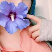 ヒメ日記 2025/11/12 07:54 投稿 ゆり 桃李（とうり）