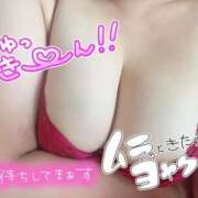 ヒメ日記 2025/08/12 09:40 投稿 まや 風俗の神様　浜松店